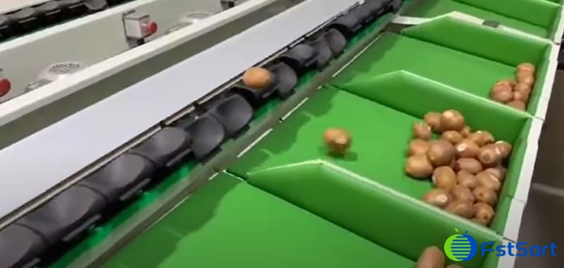 images/1735285178352kiwi fruit sorting machine.jpg